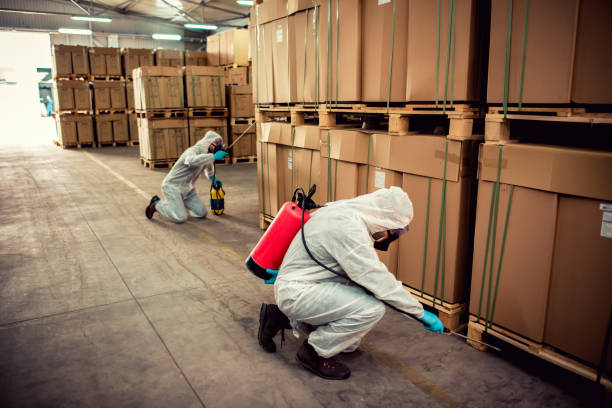 Best Pest Control Treatment  in Johnsonville, SC