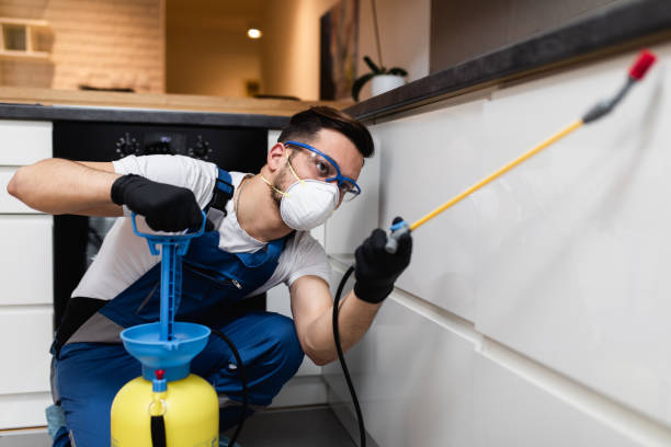 Best Emergency Pest Control  in Johnsonville, SC