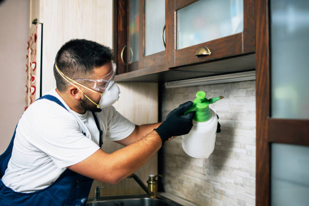 Best Wildlife Control Services  in Johnsonville, SC