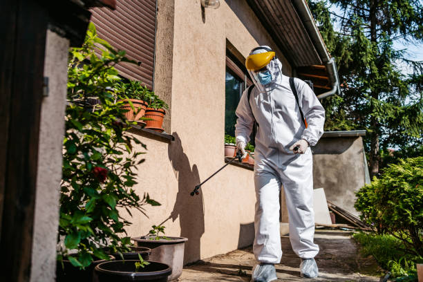 Best Cockroach Control Services  in Johnsonville, SC