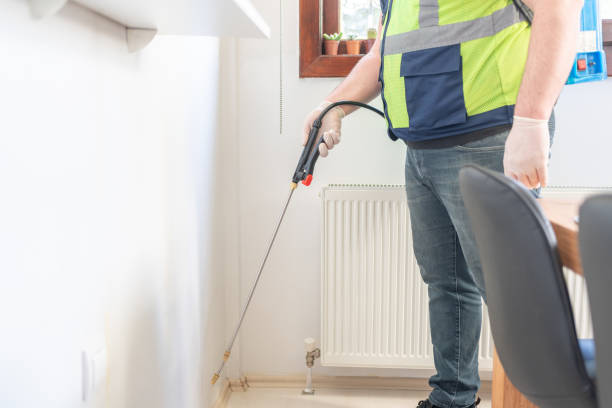 Best Local Pest Control Services  in Johnsonville, SC