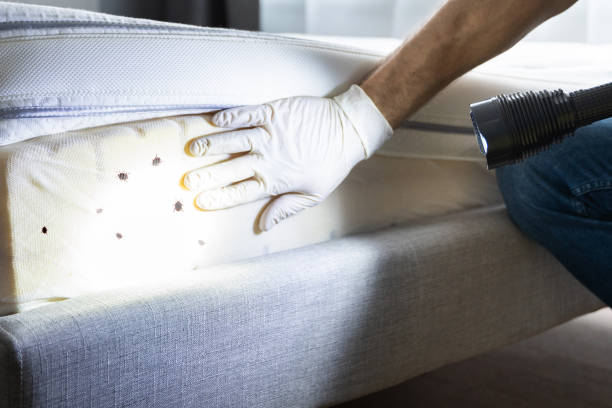 Pest Prevention Services in Johnsonville, SC