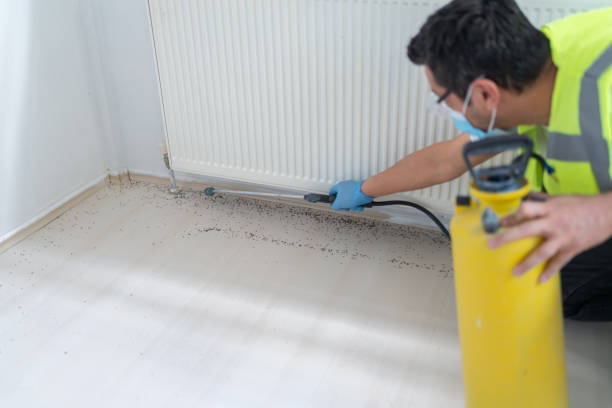 Best Commercial Pest Control Services  in Johnsonville, SC